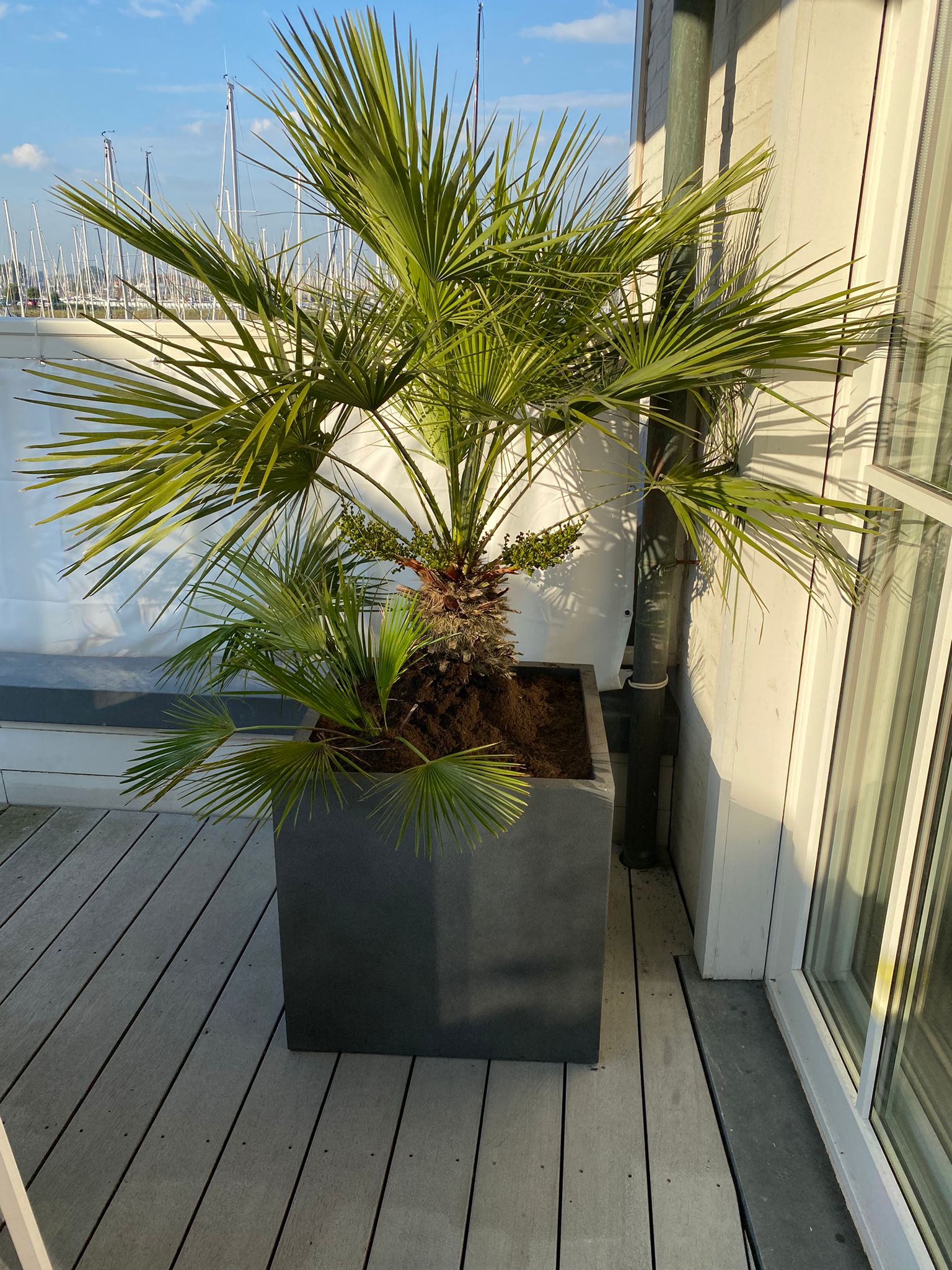 Home bei Van Den Nieuwenhof in 